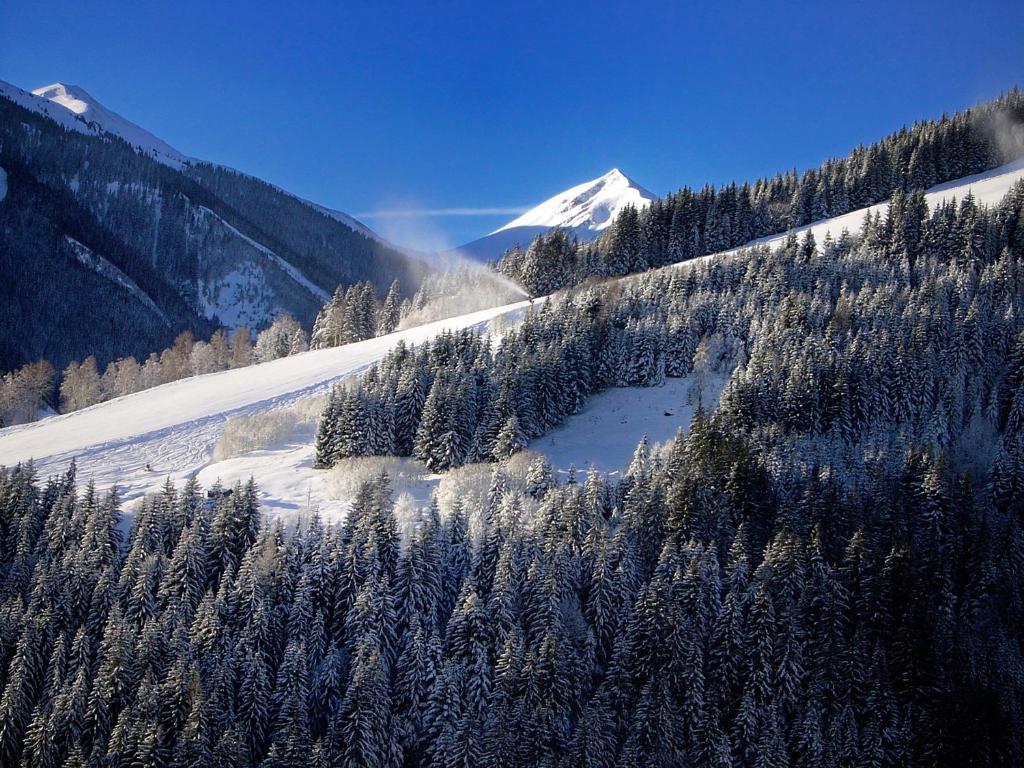 Mh Appartement Hochwimmer Saalbach-Hinterglemm Luaran gambar